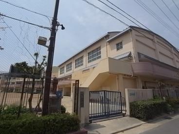 浜山小学校：517m