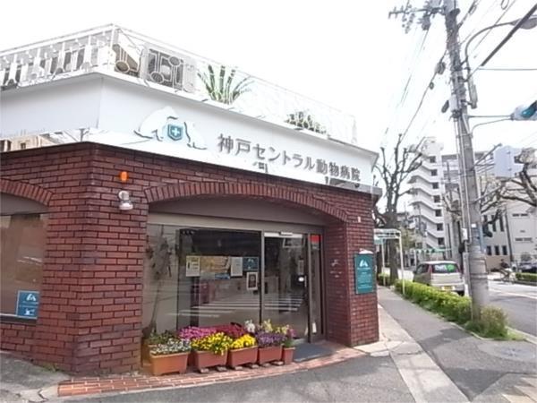 神戸セントラル動物病院：66m