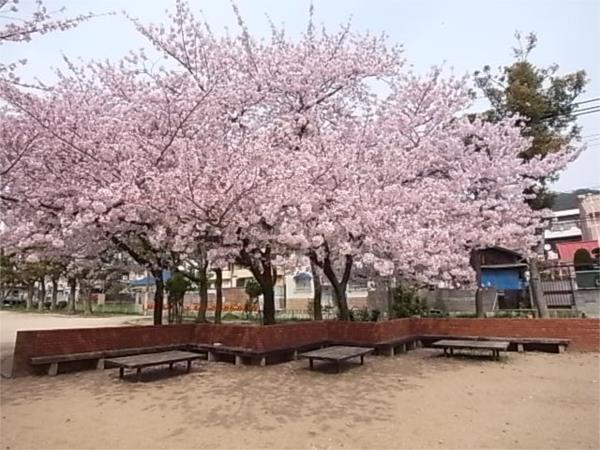 雲中公園：195m