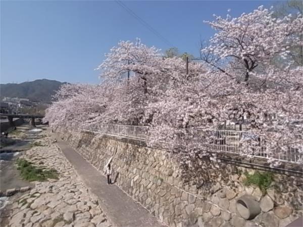 都賀川：325m