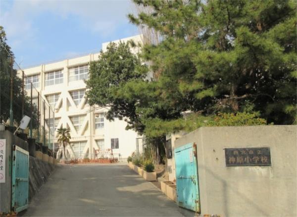 神原小学校：769m
