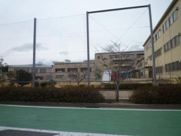 だいち小学校：546m