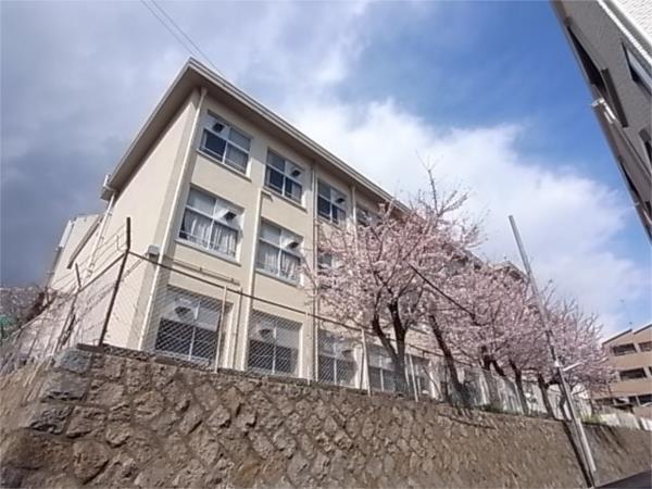 葺合中学校：283m