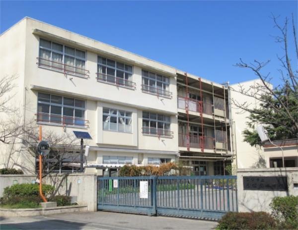 香櫨園小学校：228m