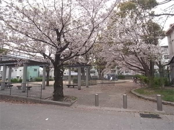 西郷公園：318m
