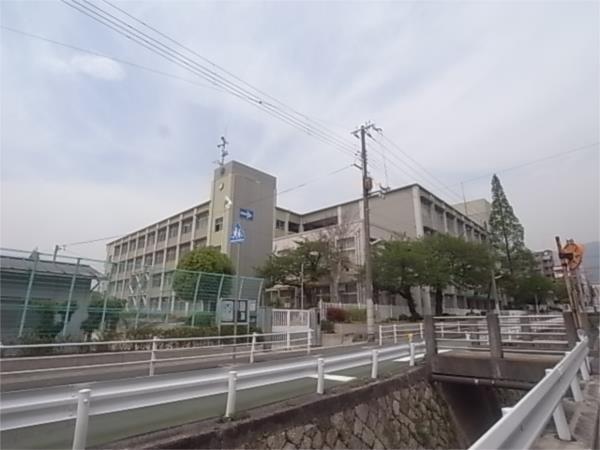 神戸市立御影小学校：244m