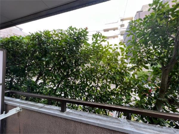 ロイヤルコート山本通 眺望
