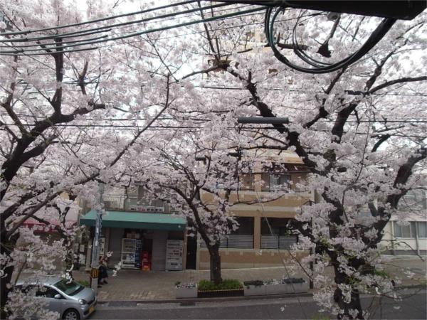 王子パークルームII 眺望