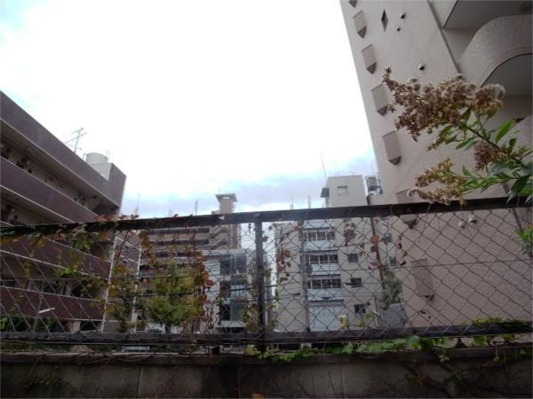 ホーユウコンフォルト新神戸 眺望