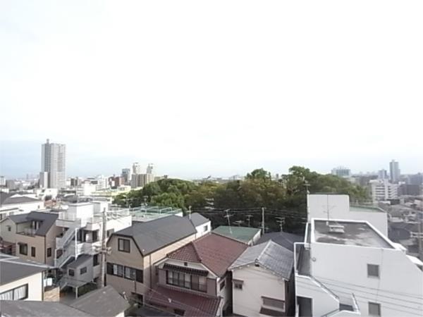 Lumina 眺望