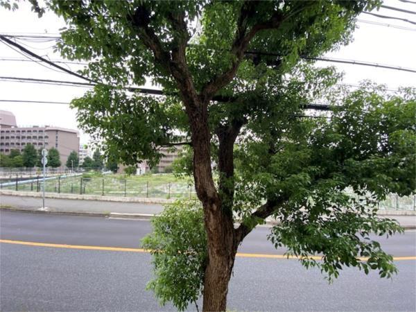 津の峰マンション 眺望