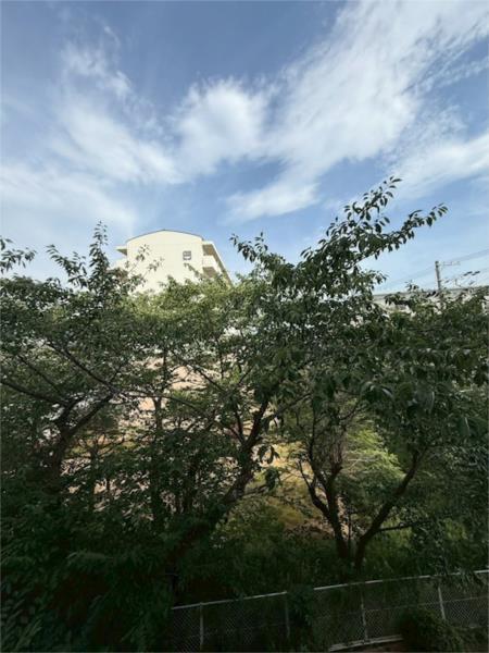 神陵台厚生年金住宅5号棟 眺望