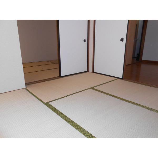 相川コーポ（101） その他部屋・スペース