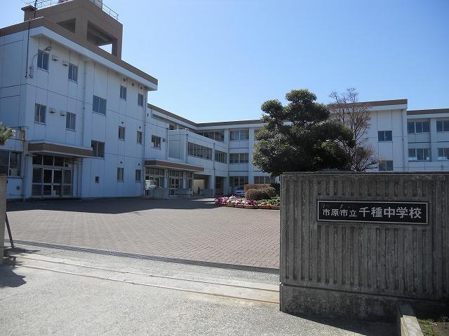 市原市立千種中学校：250m