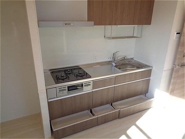 ワイズフォレストⅢ袖ヶ浦（203） 部屋画像