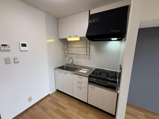 リビングタウン松ヶ島　Ｂ（305） キッチン