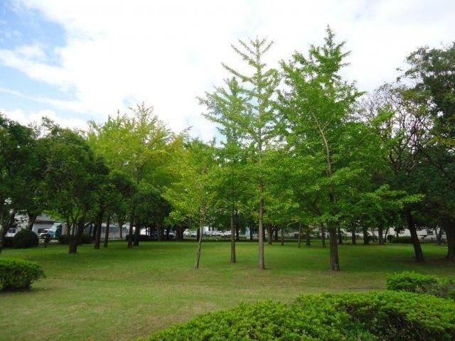 出津第3河川敷広場：1574m