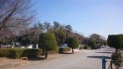 国分寺中央公園：906m
