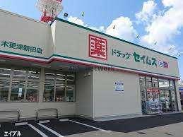 ドラッグセイムス木更津新田店：198m