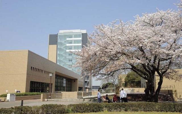 私立淑徳大学千葉キャンパス