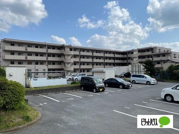 大切なペットと暮らせます