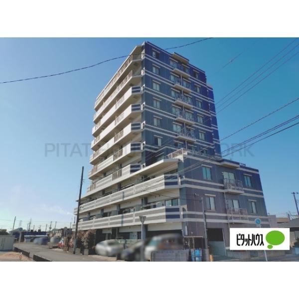 サンクレイドル姉ケ崎