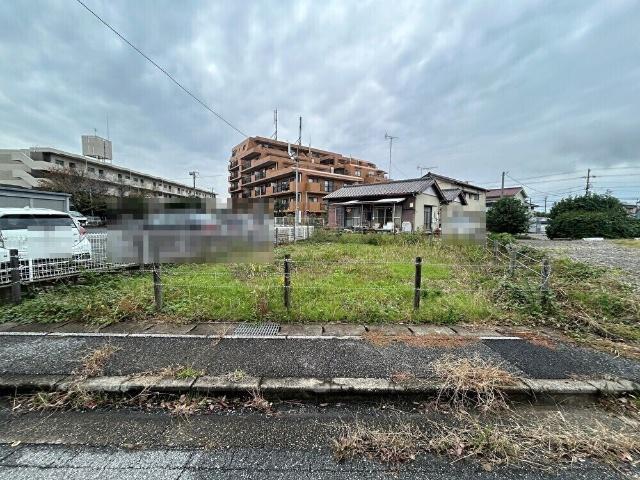 現地写真