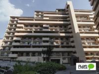 大規模マンション！