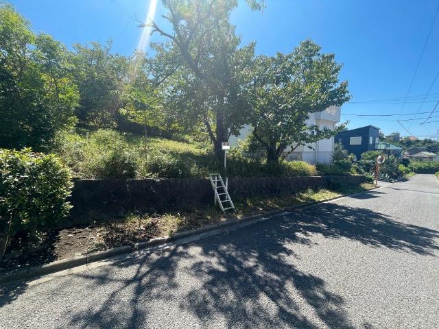 現地写真