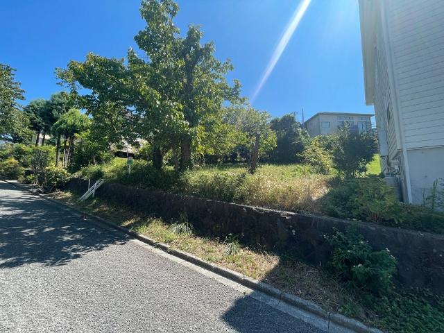 現地写真