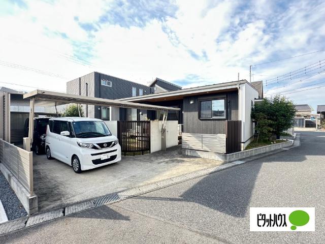 人気の金田東♪