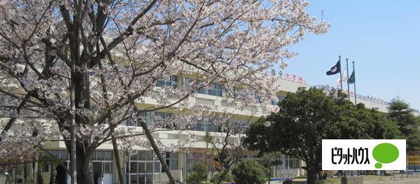 木更津市立高柳小学校