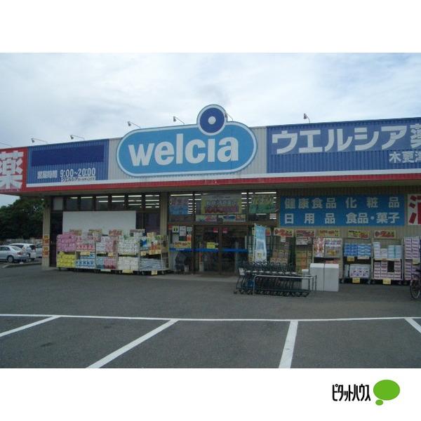 ドラックストア