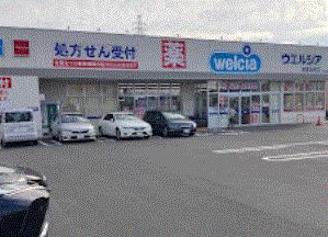 ドラックストア