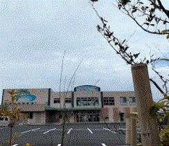 幼稚園、保育園