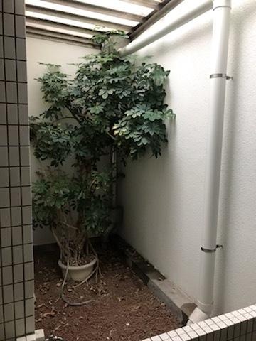 ヴェラハイツ五井 物件画像