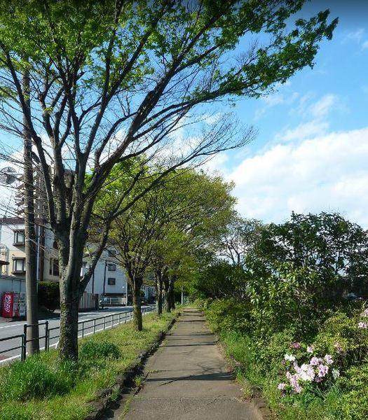 公園