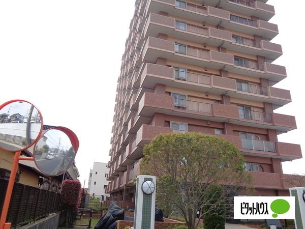 エバーグリーンパレス姉崎マークタワー 物件画像