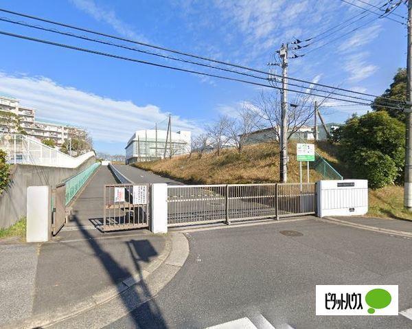 小学校