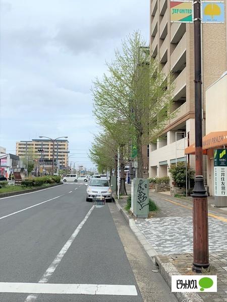 パインズマンション五井駅前タワー 物件画像