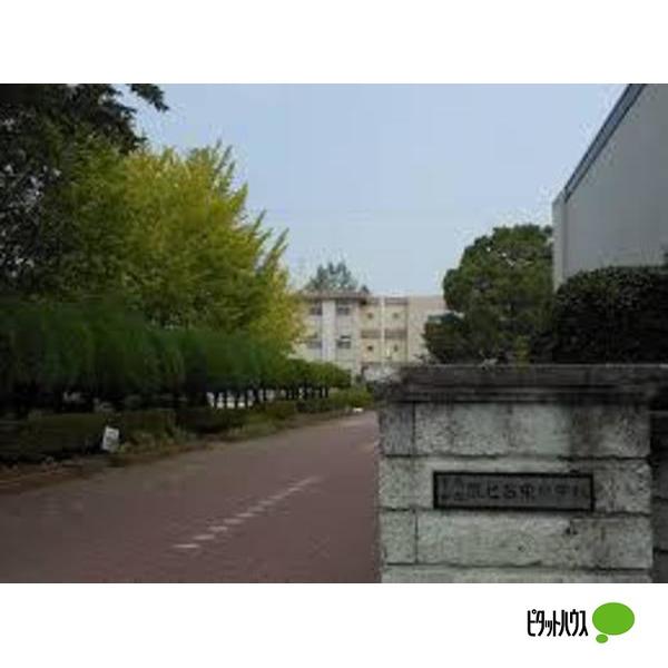 小学校