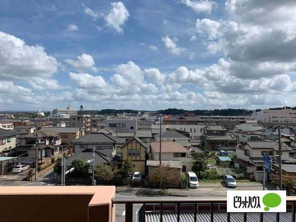 エバーグリーンパレス姉ヶ崎マークタワー 眺望