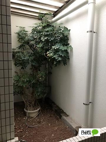 ヴェラハイツ五井 共有部分