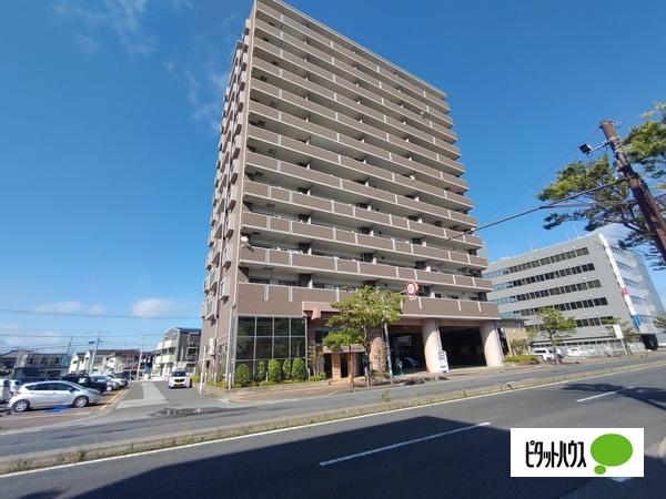 ダイアパレス木更津アクアタワー 外観