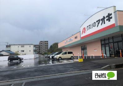 ドラックストア