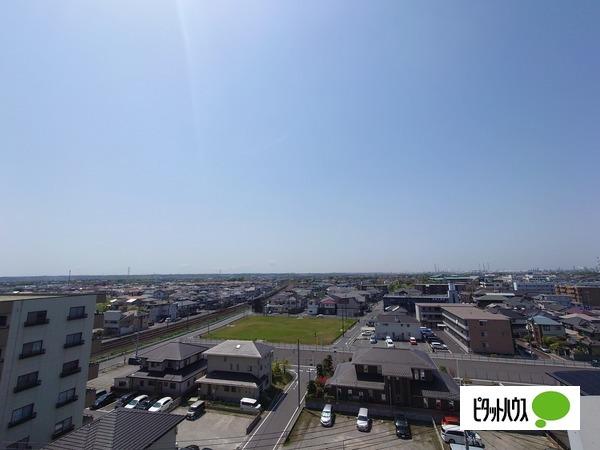 ダイアパレス五井ステーションタワー 物件画像
