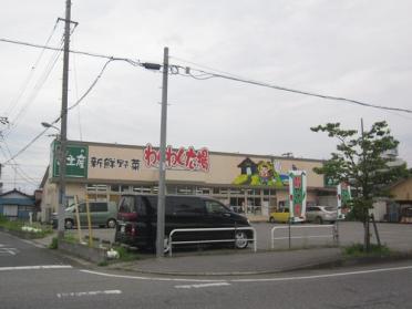 Shigenoya五井店：911m