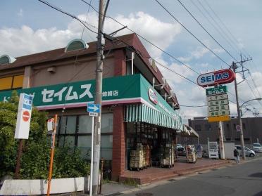 ドラッグセイムス姉崎店：1100m