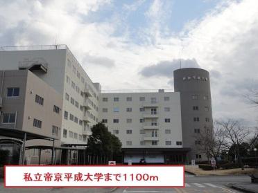 帝京平成大学：1100m