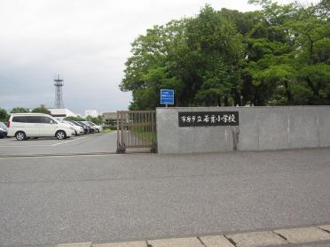 市原市立若葉小学校：1134m